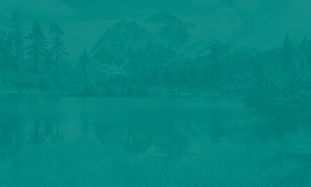 Background Image for Statistic