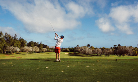 Image for Titleist Performance Institute (TPI)