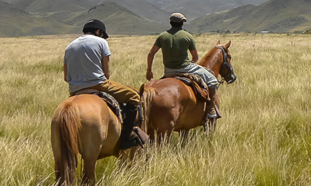 Image for post Saddle Safety