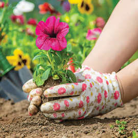 Image for post Ergonomic Gardening with Arthritis