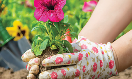 Image for post Ergonomic Gardening with Arthritis